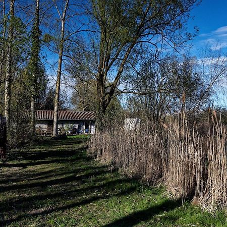 Espace Nature Studio indépendant proche du Parc des oiseaux Sainte-Olive Exterior foto