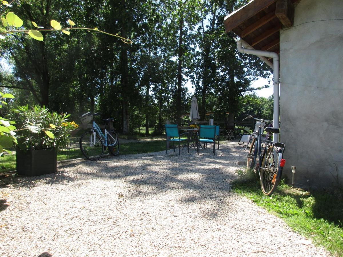 Espace Nature Studio indépendant proche du Parc des oiseaux Sainte-Olive Exterior foto